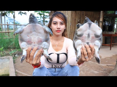 Turtle roasted with salt and chili sauce cook recipe - Turtle roasted recipe