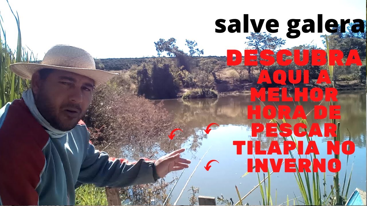Watch Now Como saber qual é o melhor horario para pesca tilápia no inverno Como saber qual é o melhor horario para pesca tilápia no inverno