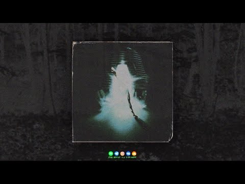 SHADXWEVIL - CONTACT