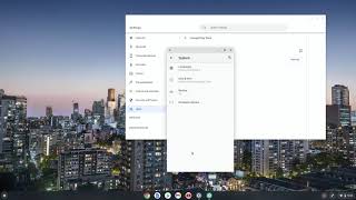 How to Enable Developer mode on Chromebook