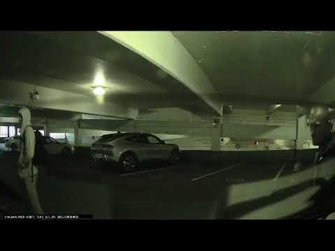 Car jacking in vancouver