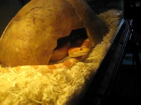 YouTube Video 9MryPBRRK2s