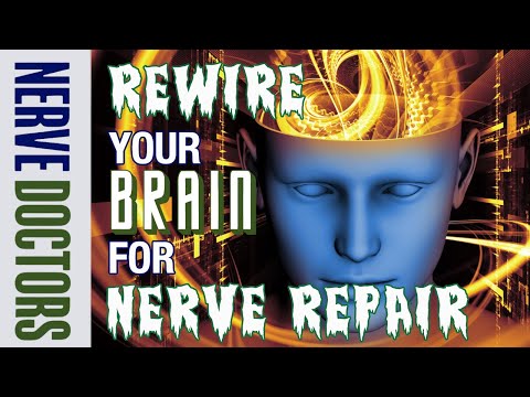 Rewire Your Brain For Nerve Repair - The Nerve Doctors