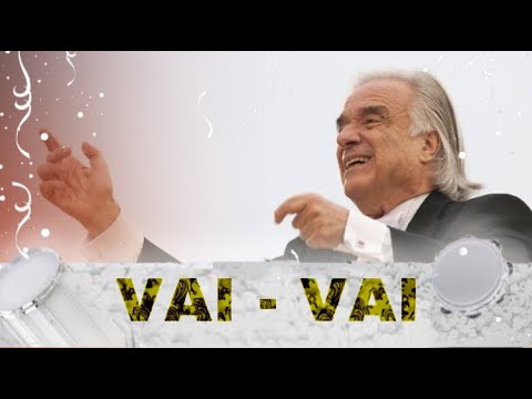 SEM NARRAÇÃO - VAI VAI 2011