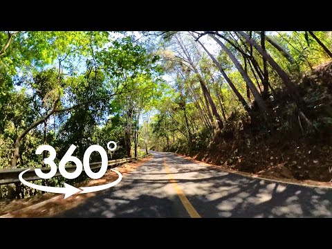 360 VR Adventure: Riding a Motorcycle through the Doi Inthanon Jungle on the Mae Hong Son Loop #360