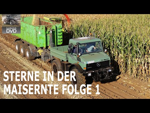 MB Trac & Unimog | Episode 1 | All about Mercedes-Benz classic tractors | Corn harvest 2025