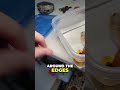 How to Identify Real Amber: The Ultimate Guide