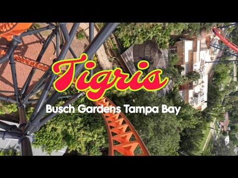 Tigris short video by MaR Leh