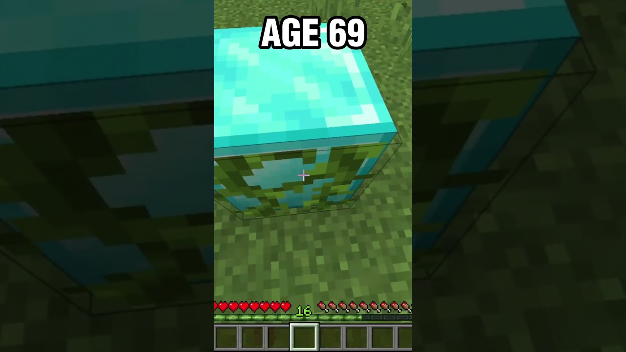 MLG Clutch at Every Age in Minecraft (World's Smallest Violin)