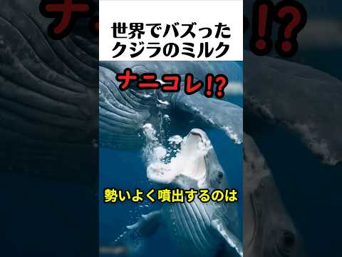 世界でバズった鯨のミルク