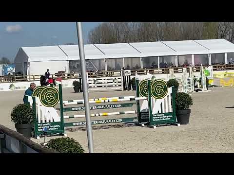 Hero - 2017y, stallion, Diamant de Semilly x Kannan - at CHSCh - 3d place