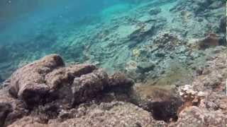 preview picture of video 'Waikoloa Slide and Kapoho tide pools — Big Island 2012'
