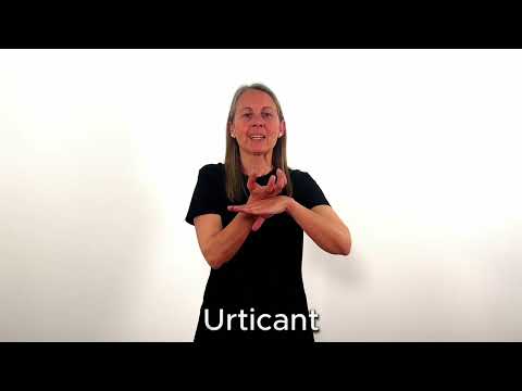Urticant - LSC