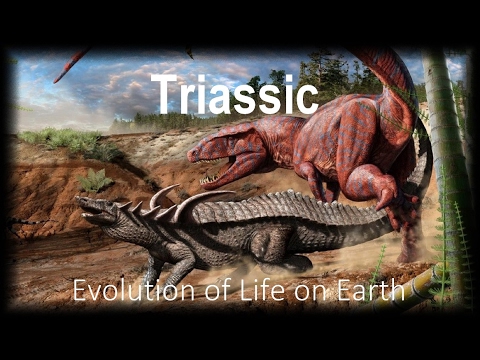 The Evolution of Life part 8 : Triassic