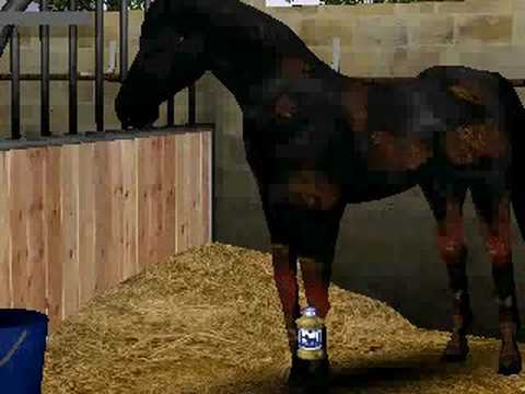 Mission Equitation Online : Mon Club sur Internet PC