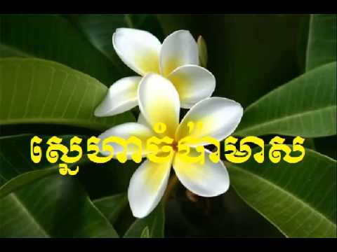 Sin Sisamuth | Ros Sereysothea |  Sneha Chompa Meas - ស្នេហាចំប៉ាមាស​ | Khmer oldies song