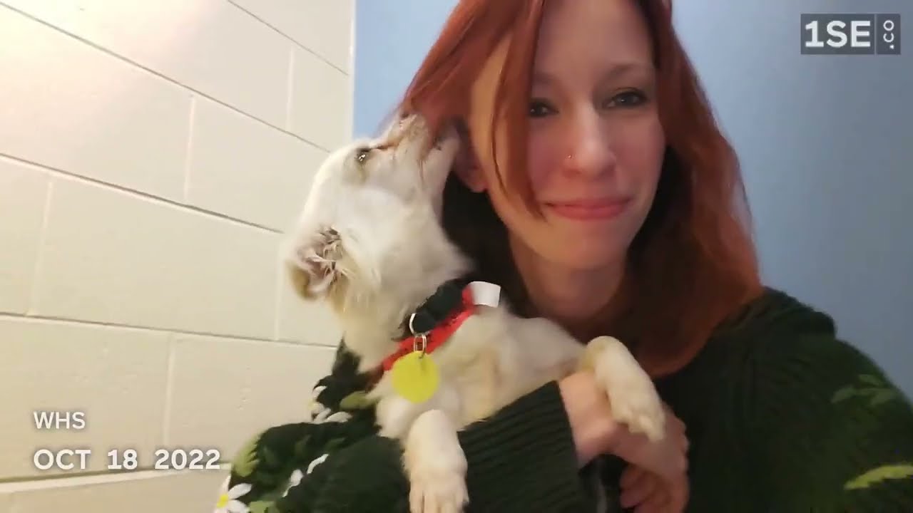 1 Second Everyday - 2022 1SE