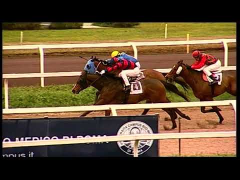 rm 20211224 02 p awchristmasoldermiler