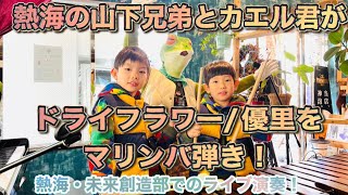 ドライフラワー/優里を熱海の「山下兄弟とカエル君」がマリンバ、ピアノ、ドラム弾き！