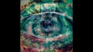 The Electric Prunes - Train for Tomorrow [HQ]