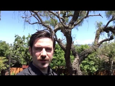 Jackson Crawford introduces the Poetic Edda on Grimfrost