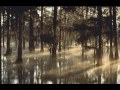 Jim White - Still Waters