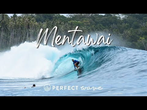 Surfing Mentawai With The Perfect Wave | Andy Potts