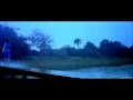 David Gray - January Rain