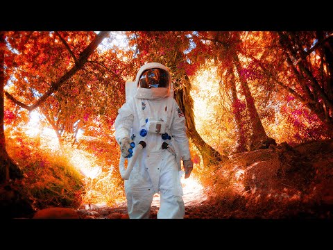 Sitting On Saturn - "Harmony" (Official Music Video)