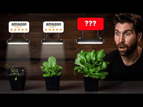 DON'T BUY A Grow Light on Amazon - Until You Watch This!