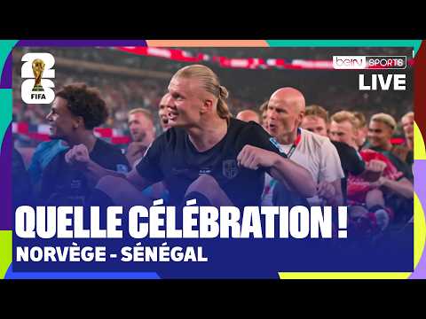 Les NORVÉGIENS sortent les RAMES et célèbrent avec leurs FANS après la QUALIFICATION : Magnifique !