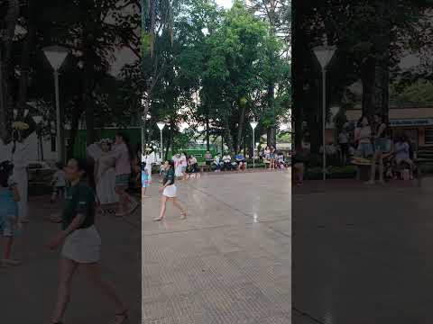 El gran arbol navideño en Colonia Liebig corrientes.