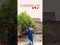 O PRiYa PRIYA ️‍ Song Dance Love Trending Viral Long Video Youtuber