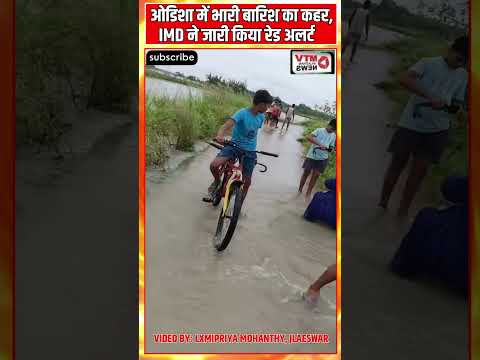 बारिश ने बढ़ाई मुसीबत! ओडिशा में रेड अलर्ट, नदियां उफान पर #breakingnews #orrisa