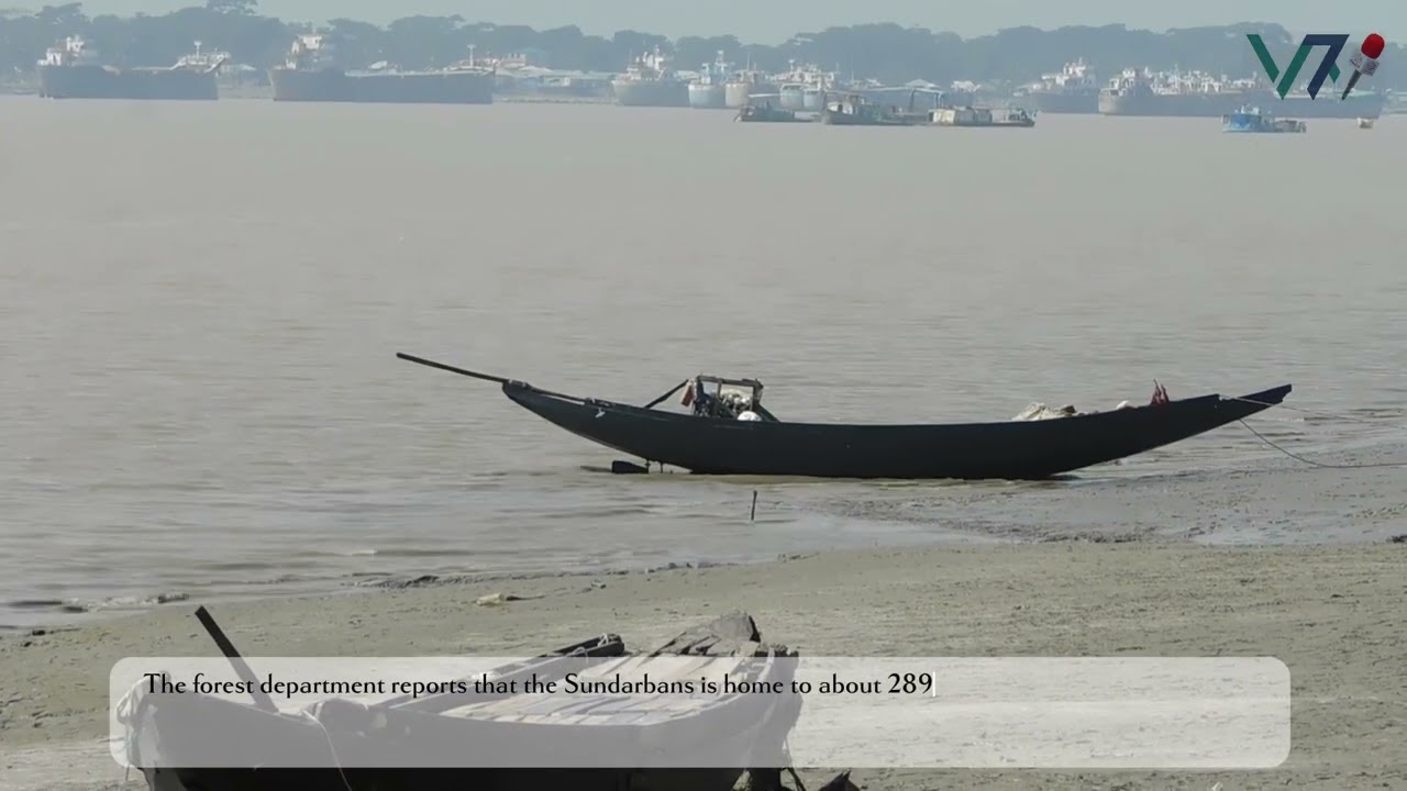 Closed for 3 Months to Protect Wildlife & Fish Resources in Sundarban