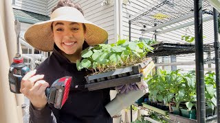 Picking up where we left off | A HUGE planting day!
