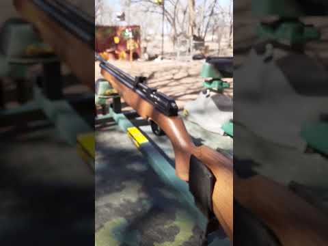 (REVIEW) The Crosman Diamondback Nitro Piston Elite | Air rifle #1| INSANELY HIGH SPEEDS