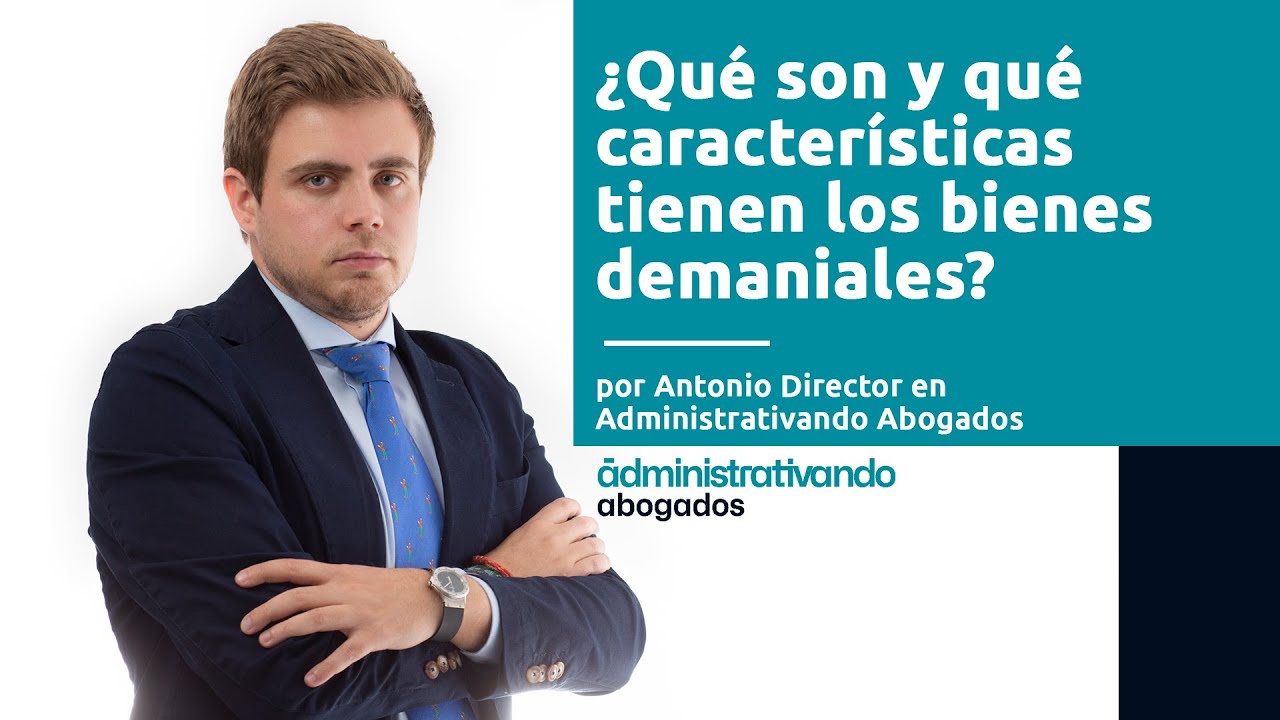 ¿Qué son y qué características tienen los bienes demaniales?