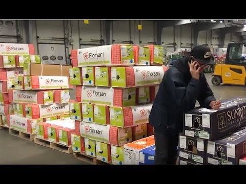 FLOWEX Team Krzysztof Solarczyk