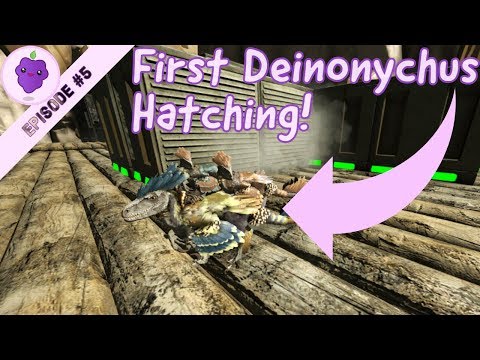 Deinonychus Hatching! - Valguero Solo Small Tribes Ep.5!