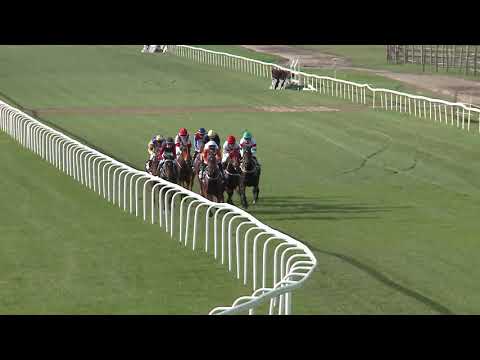 2020.11.01. 04. futam - GRÓF SZÉCHENYI ISTVÁN EMLÉKVERSENY (HUN Gd-2)