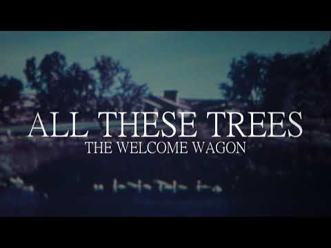Video thumbnail for All These Trees
