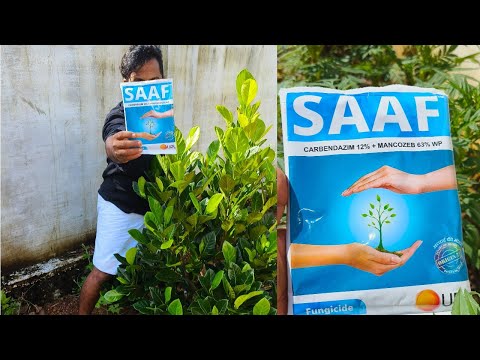 SAAF usage /SAAF usage