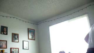 no words neil diamond cover