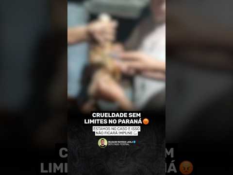 Recebemos um vídeo gravíssimo de maus-tratos ocorrido no interior de Fernandes Pinheiro, no Paraná.