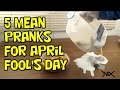 5 Mean pranks you can do on April Fools Day.