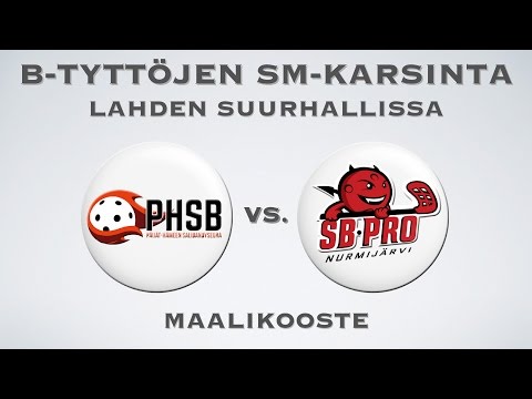 Maalikooste PHSB vs. SB-Pro