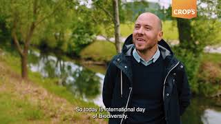 Crop's Biodiversity Day 2025 - BeeOdiversity