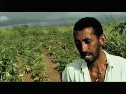 Tumbalalá: tupinambás, irmãos no mundo » DOCTV I