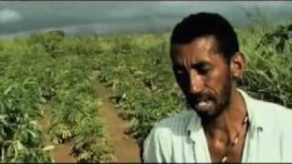 Tumbalalá: tupinambás, irmãos no mundo » DOCTV I